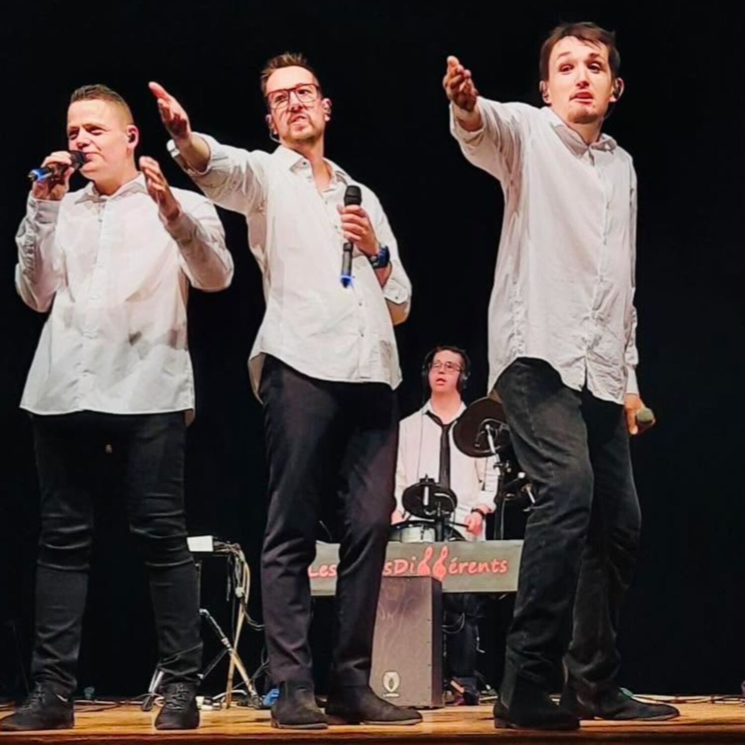 « Venez, vous ne serez pas déçus » les Undifférents en concert à Nuits-Saint-Georges ce vendredi episode artwork