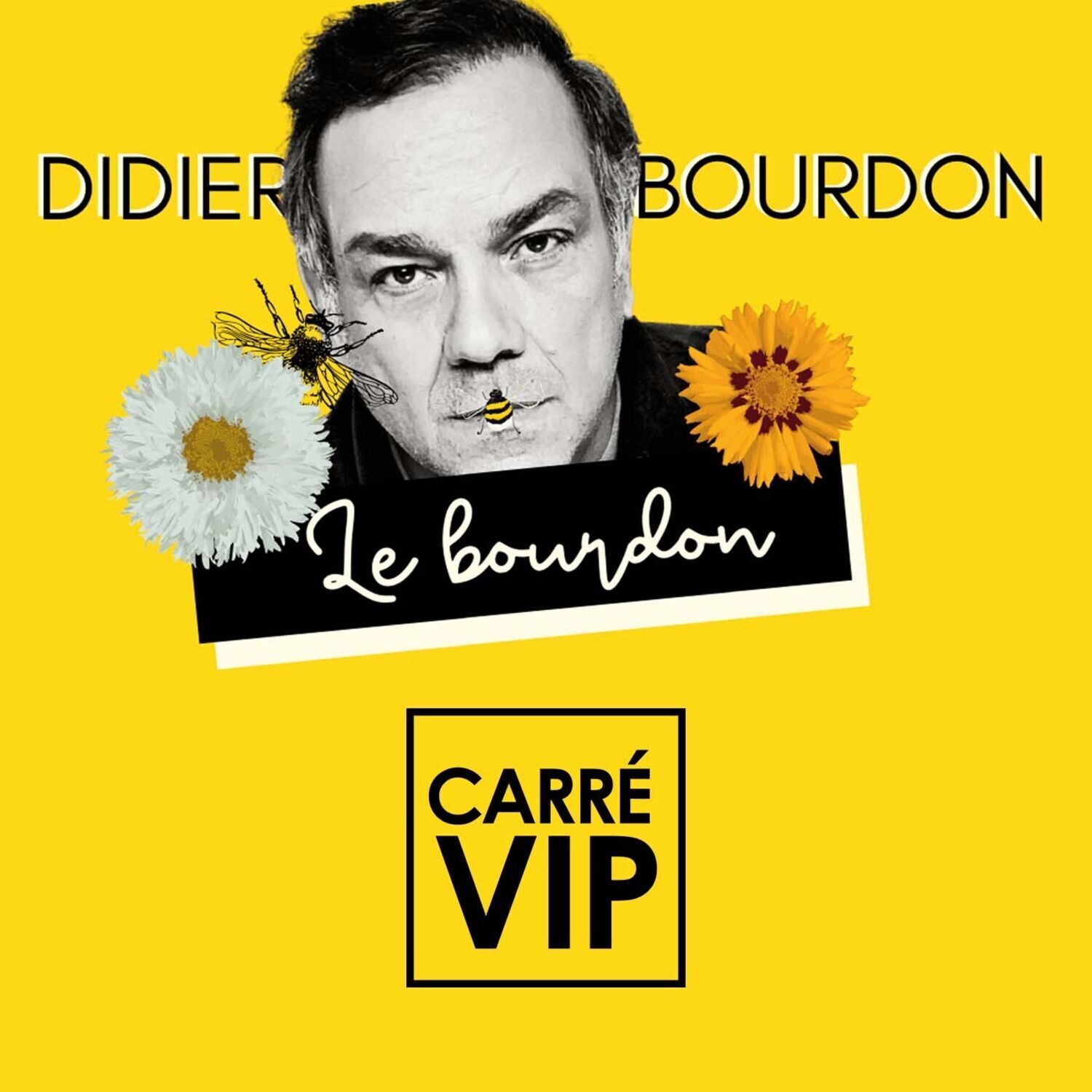 Didier Bourdon, l’inconnu le plus connu de France en interview Carré VIp