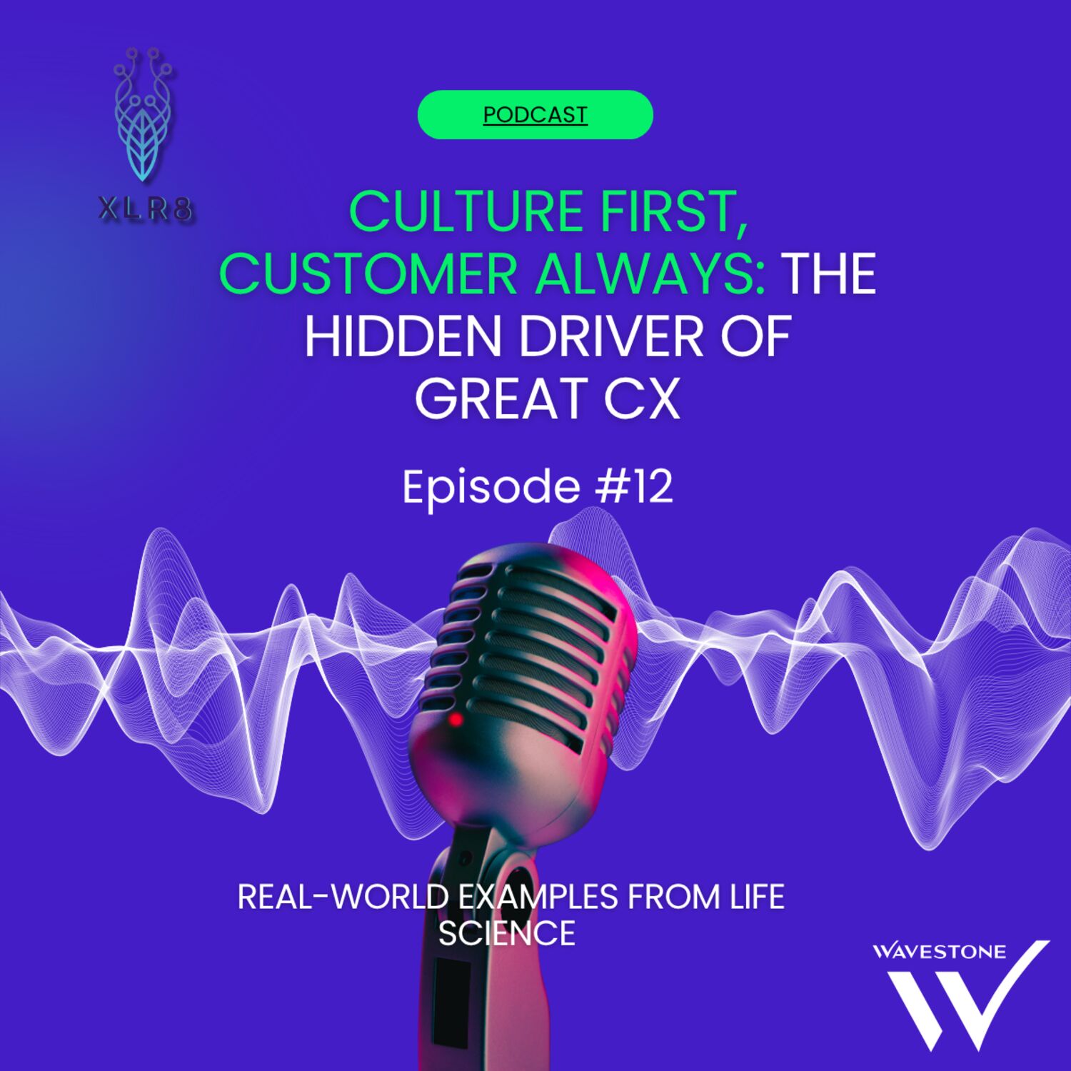Culture first, customer always: the hidden driver to great customer experience