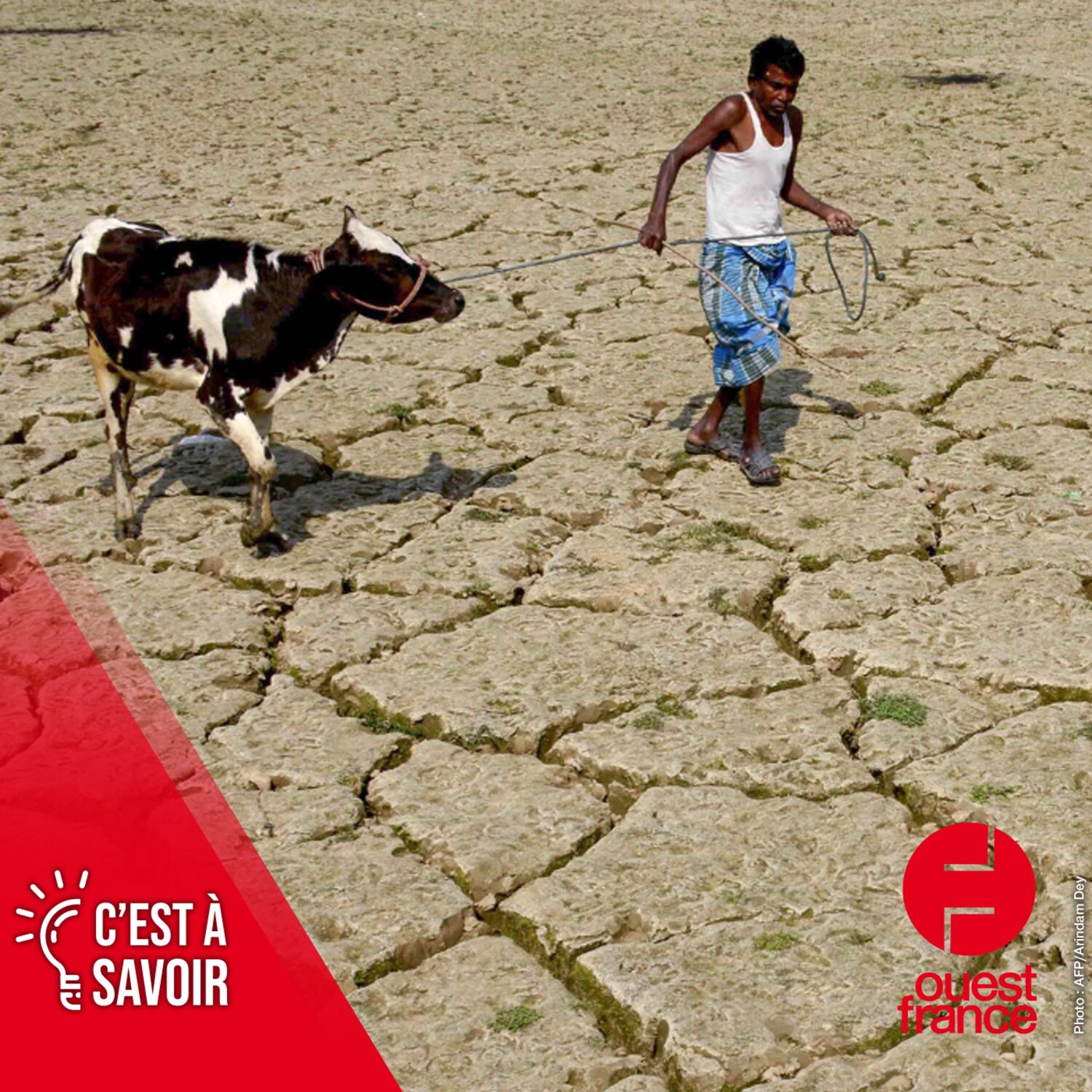 L'humanité va-t-elle survivre au réchauffement climatique ? episode artwork