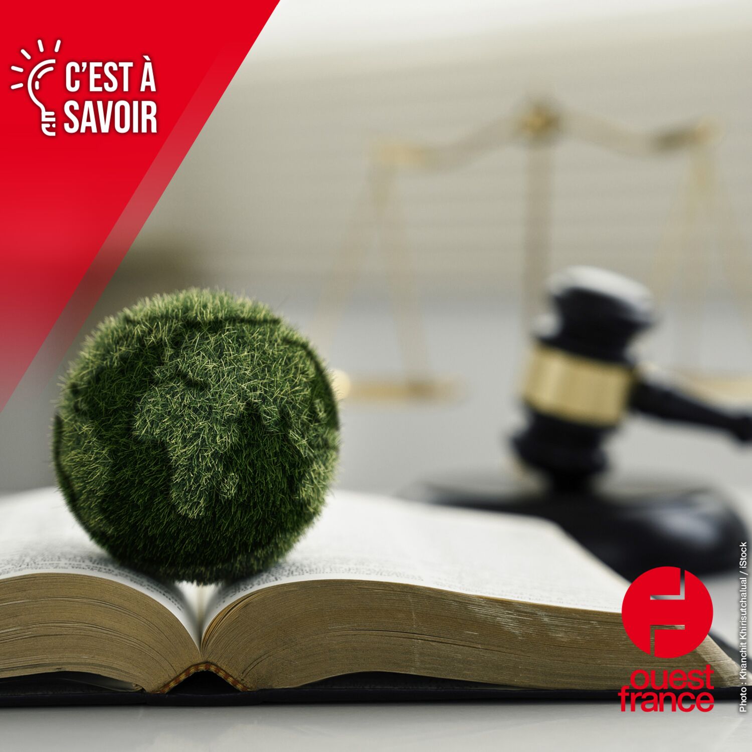 Faut-il instaurer une dictature verte ? episode artwork