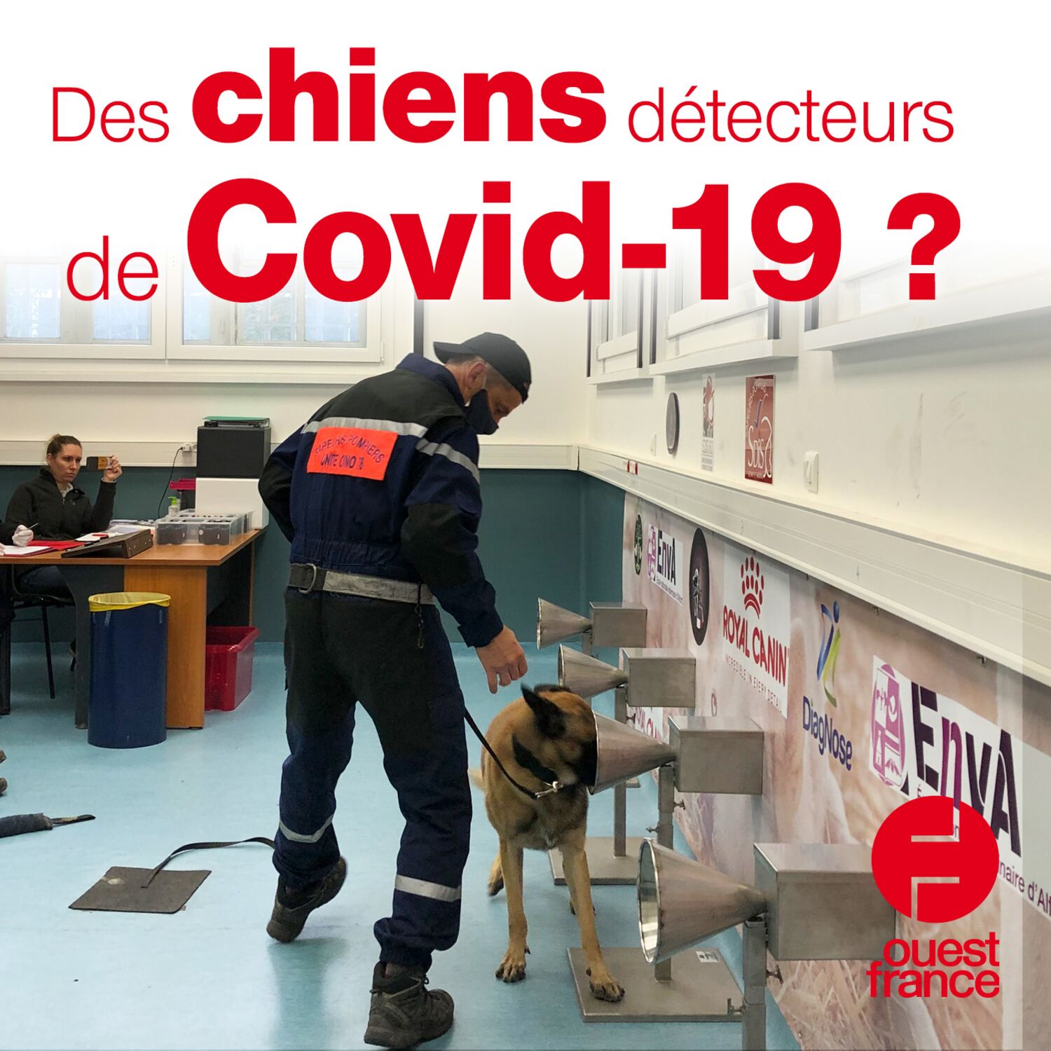 Des chiens détecteurs de Covid-19 ? episode artwork