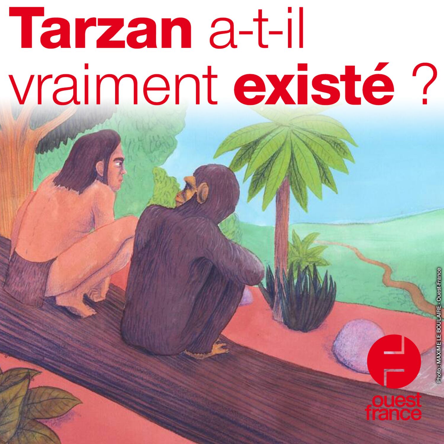 A VOIX HAUTE. Tarzan a-t-il vraiment existé ? episode artwork