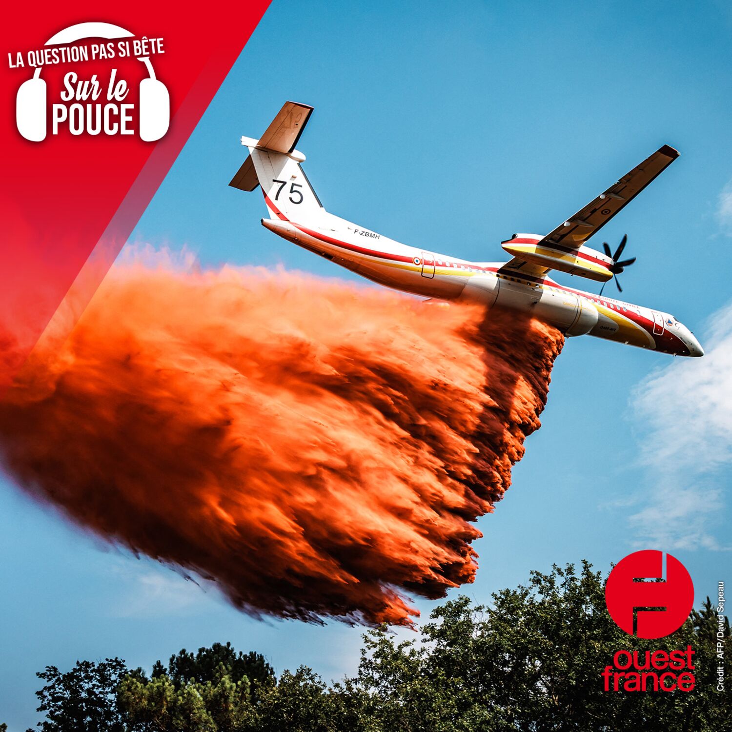 Qu'est-ce que ce mystérieux liquide rouge largué par les avions contre les feux de forêt ?