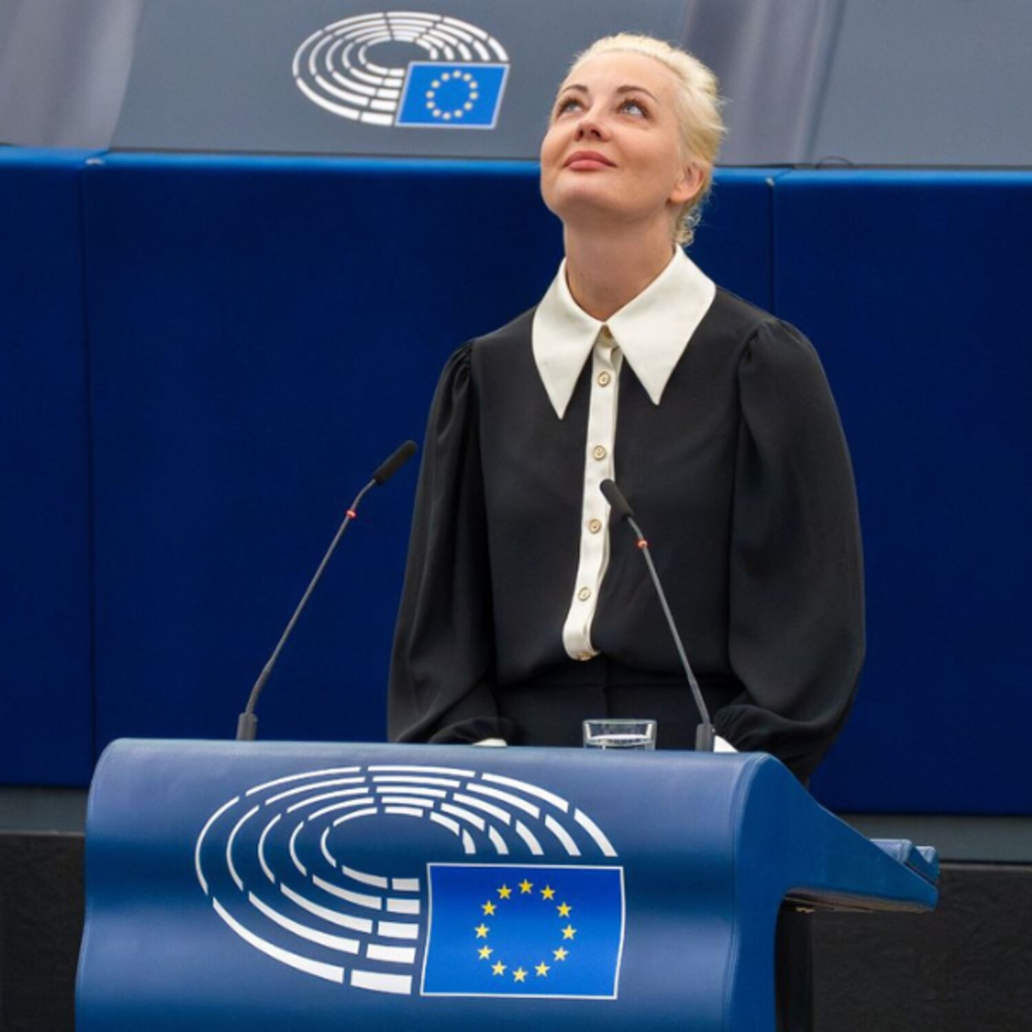 Synthèse de la plénière - Strasbourg, février II 2024 episode artwork