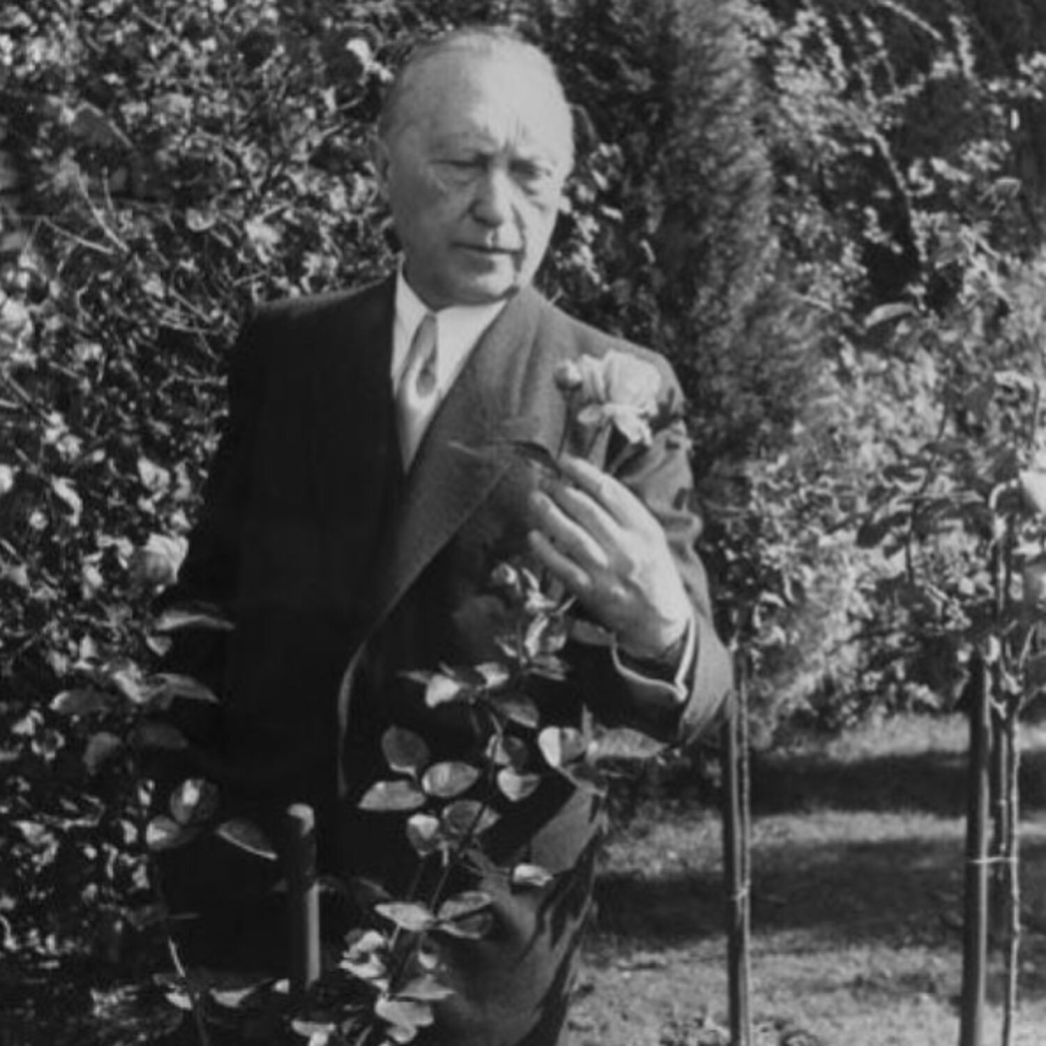 Konrad Adenauer, symbole d’unité et de paix episode artwork