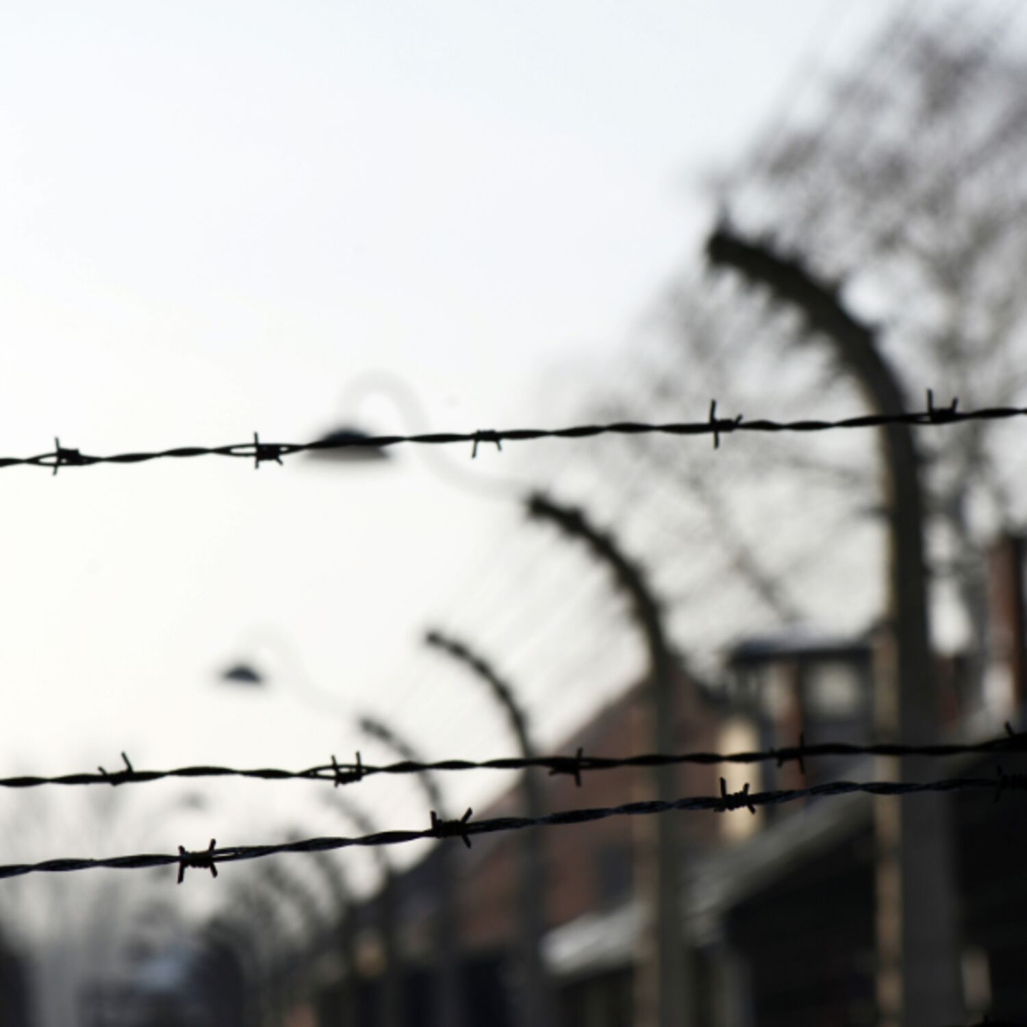 Journée internationale dédiée à la mémoire des victimes de l’Holocauste episode artwork