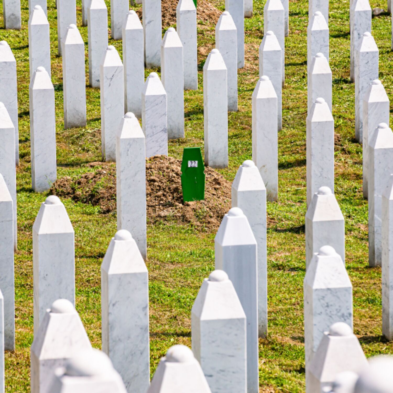 Le génocide de Srebrenica episode artwork