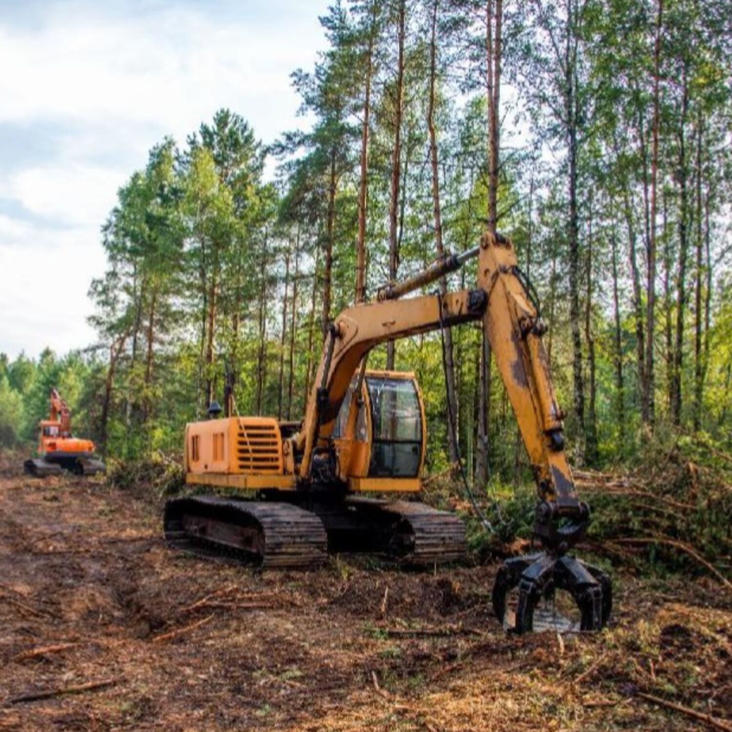 Pour des produits et des denrées «zéro déforestation» au sein de l’Union européenne episode artwork