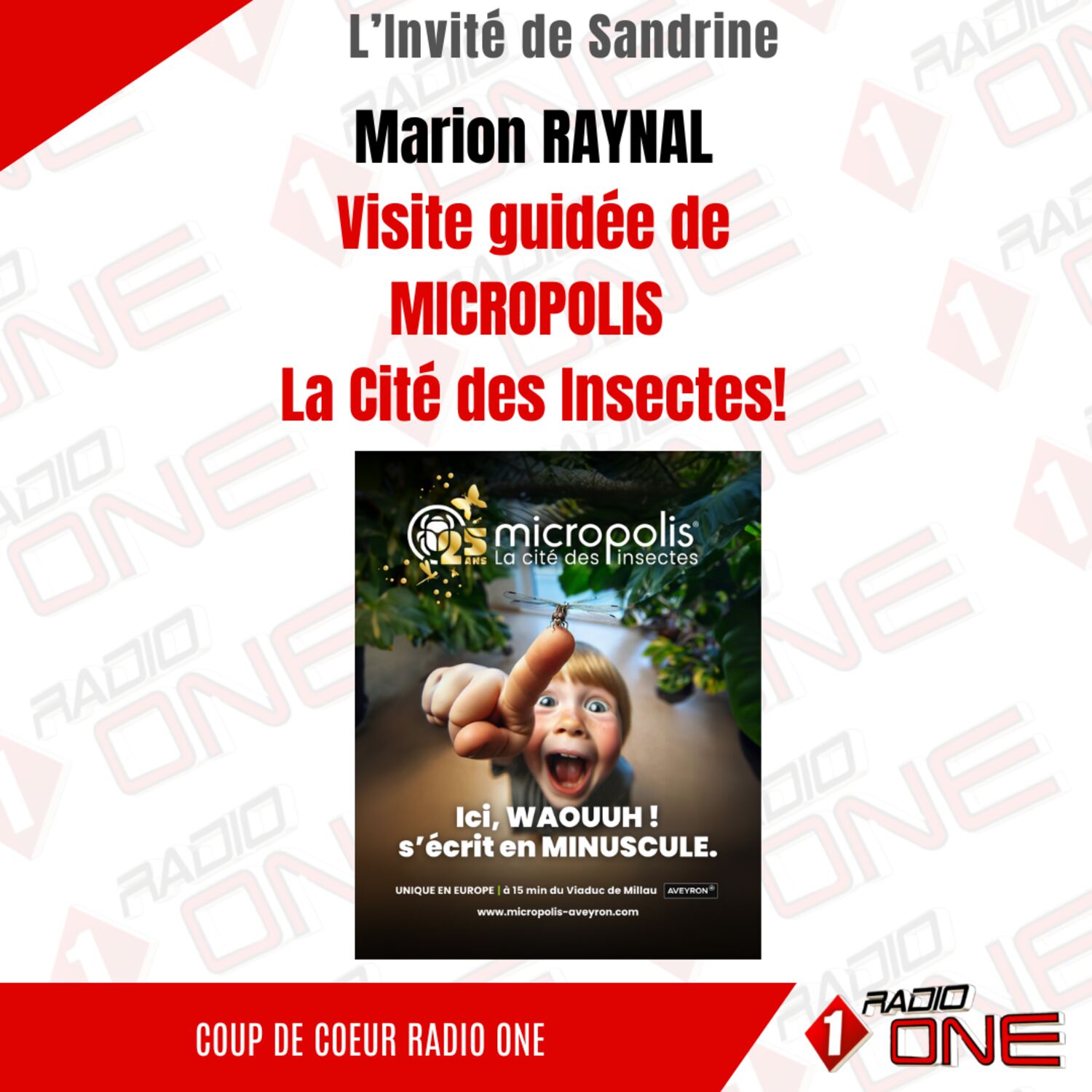 Marion RAYNAL: Les animations de l'été à MICROPOLIS
