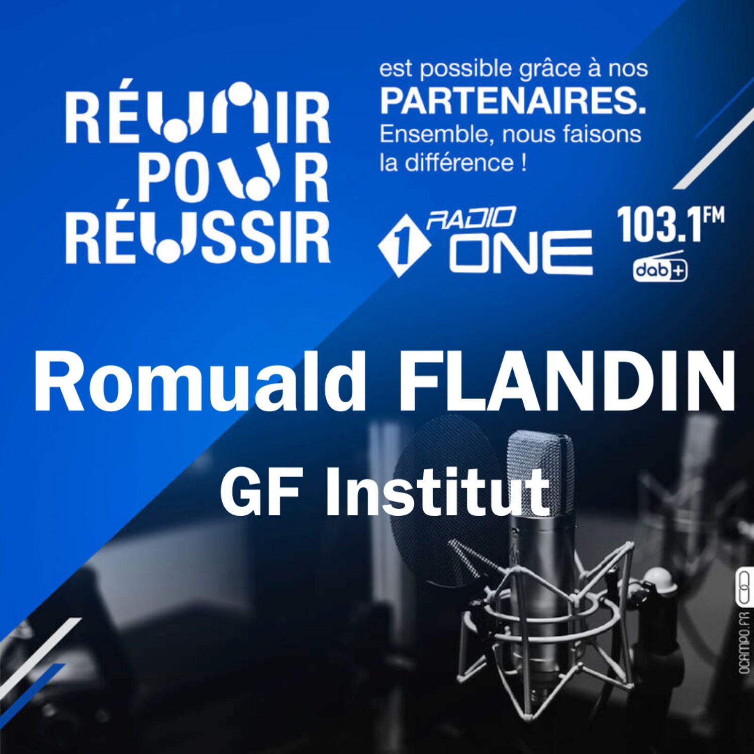 Romuald FLANDIN - GF Institut