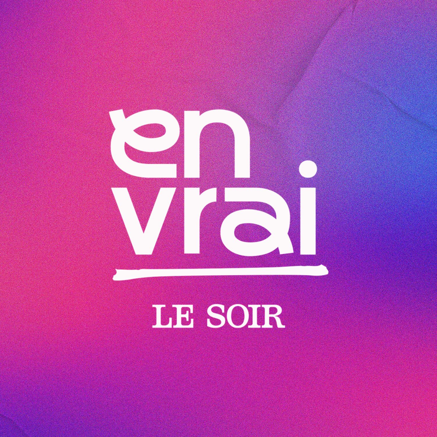 « En vrai » : Pierre, d’ingénieur de gestion à menuisier episode artwork