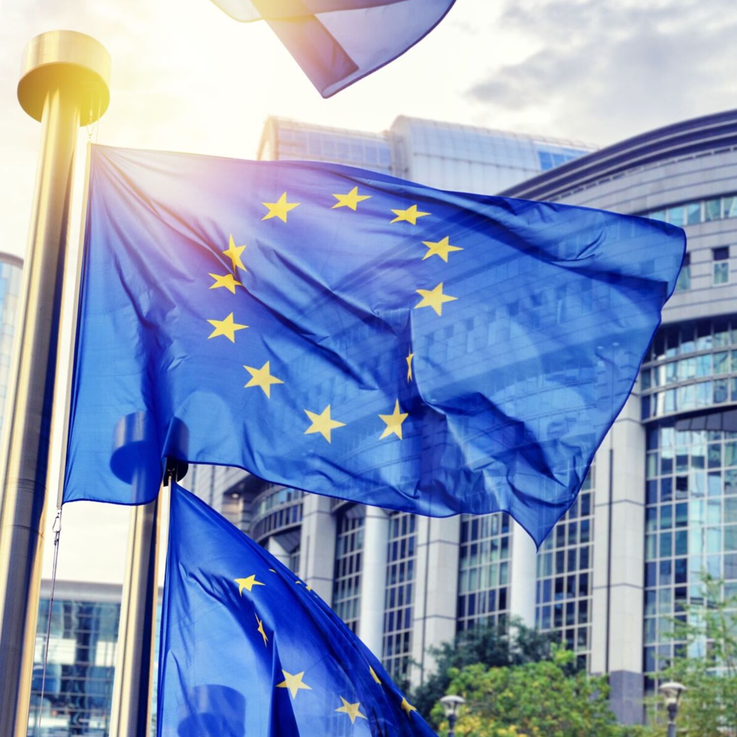 Eurobarometer and Parlemeter
