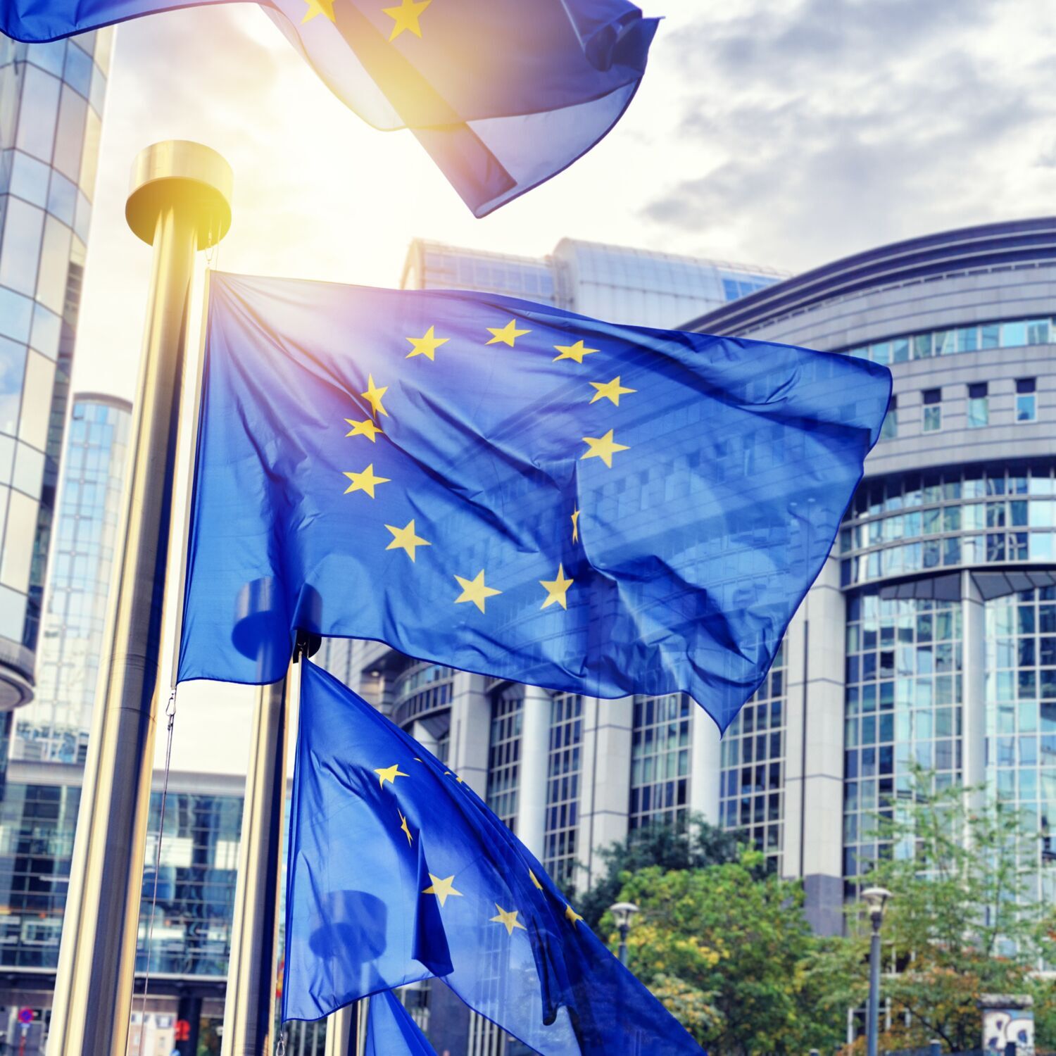 Spring 2024 Eurobarometer