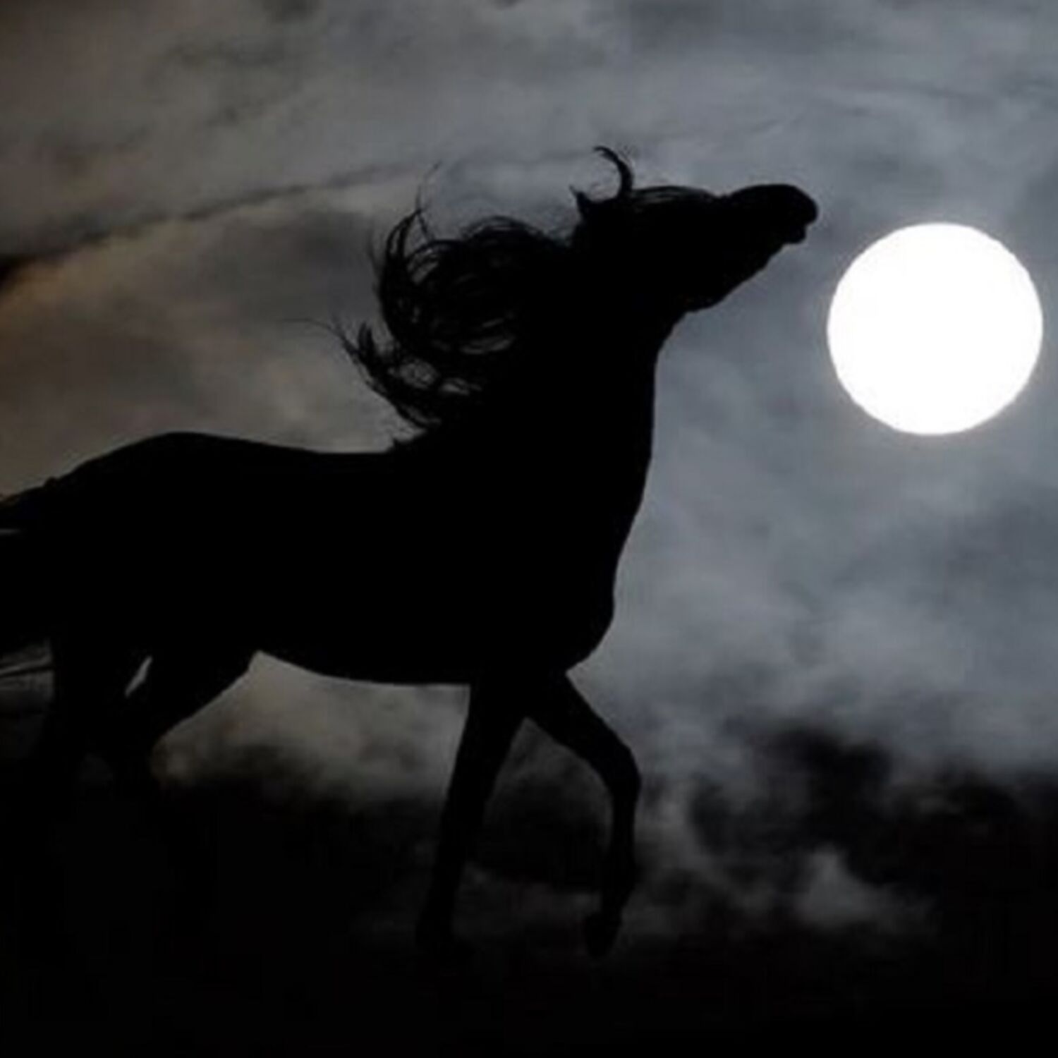 Spécial Halloween : Le Cheval Nocturne episode artwork
