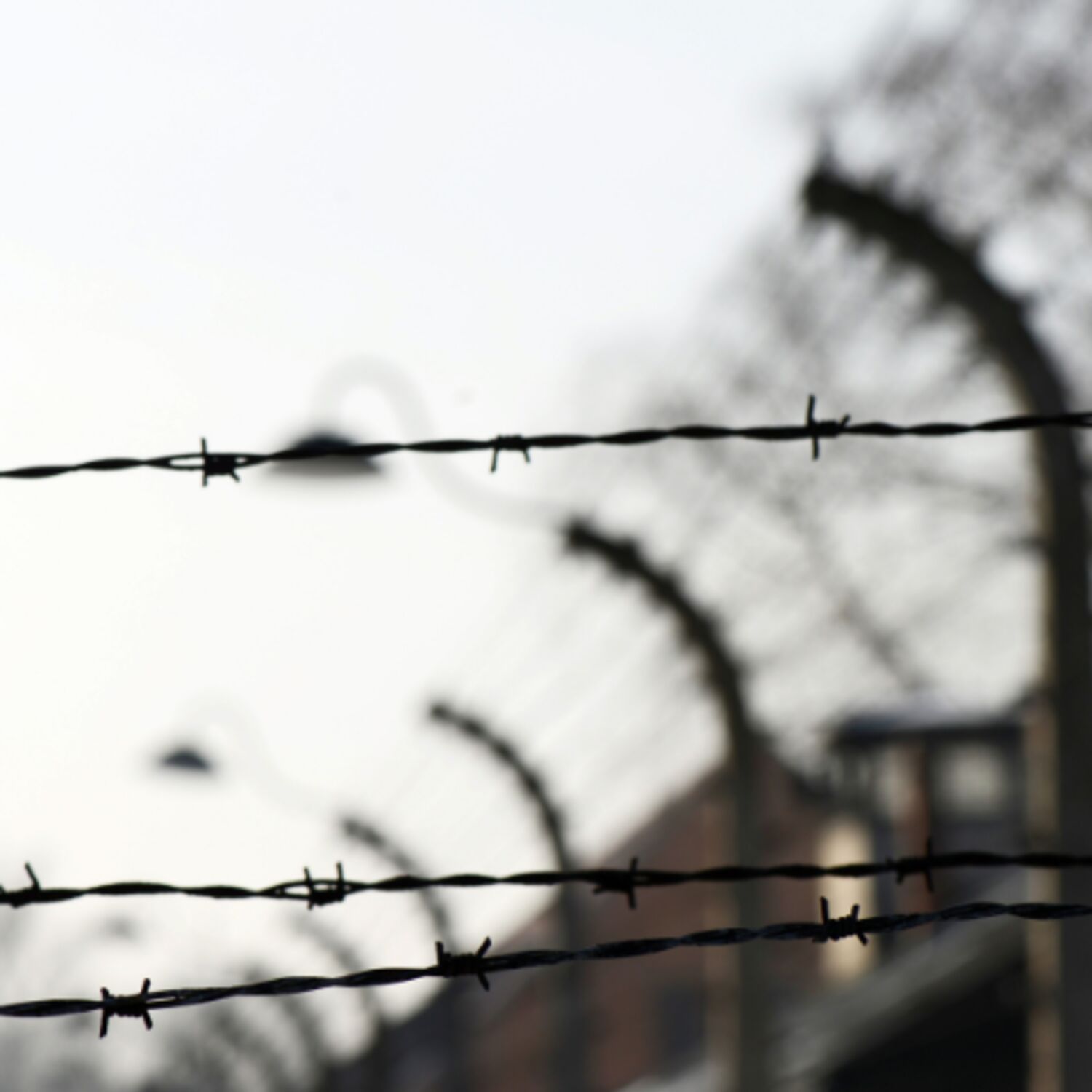De Internationale Herdenkingsdag voor de Holocaust episode artwork