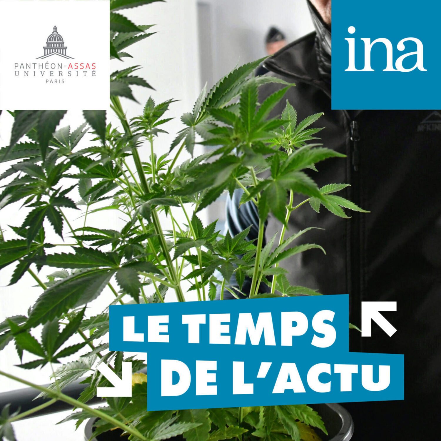 Faut-il légaliser le cannabis ? (avec Diana Villegas et Marie Jauffret-Roustide) episode artwork