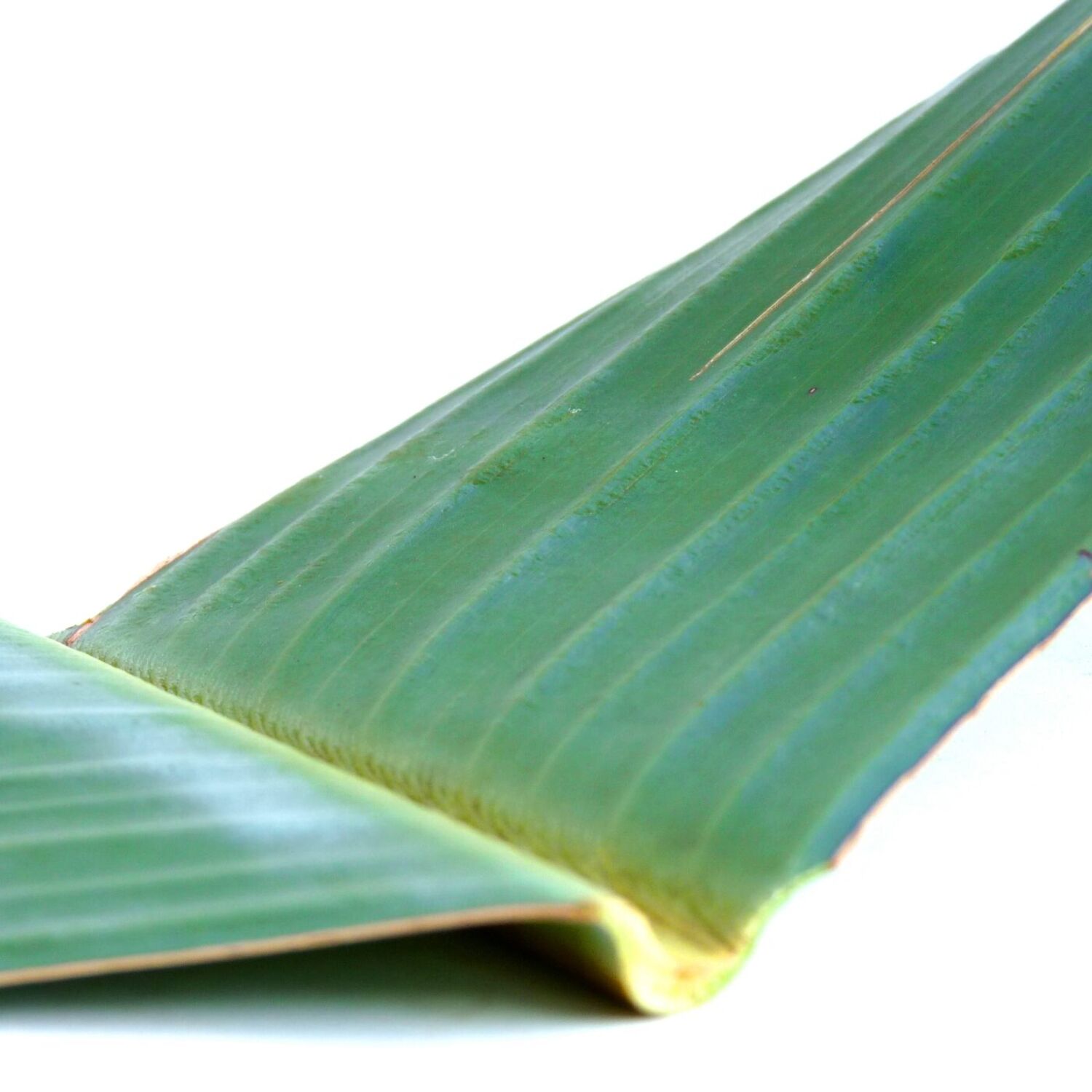 episode sybel img