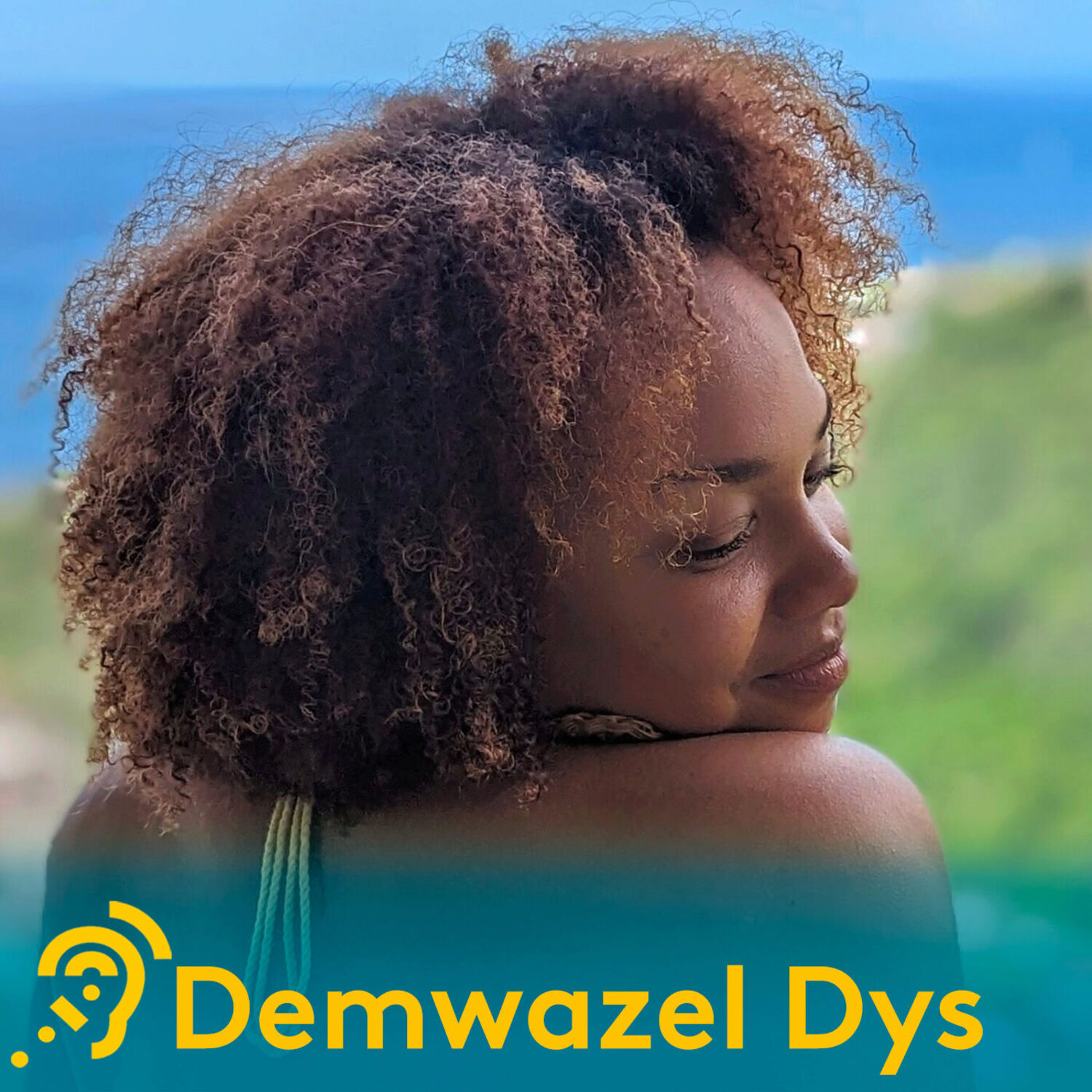 Demwazel Dys, la libellule s'envole vers là où elle veut aller episode artwork