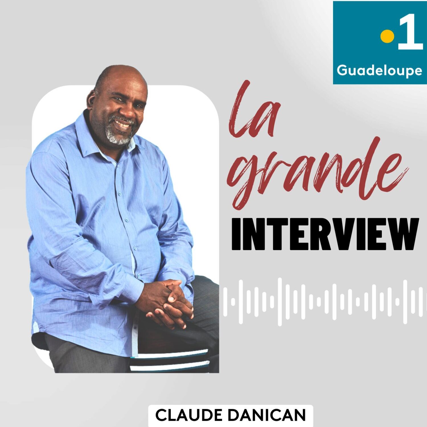 Illustration du podcast La grande interview
