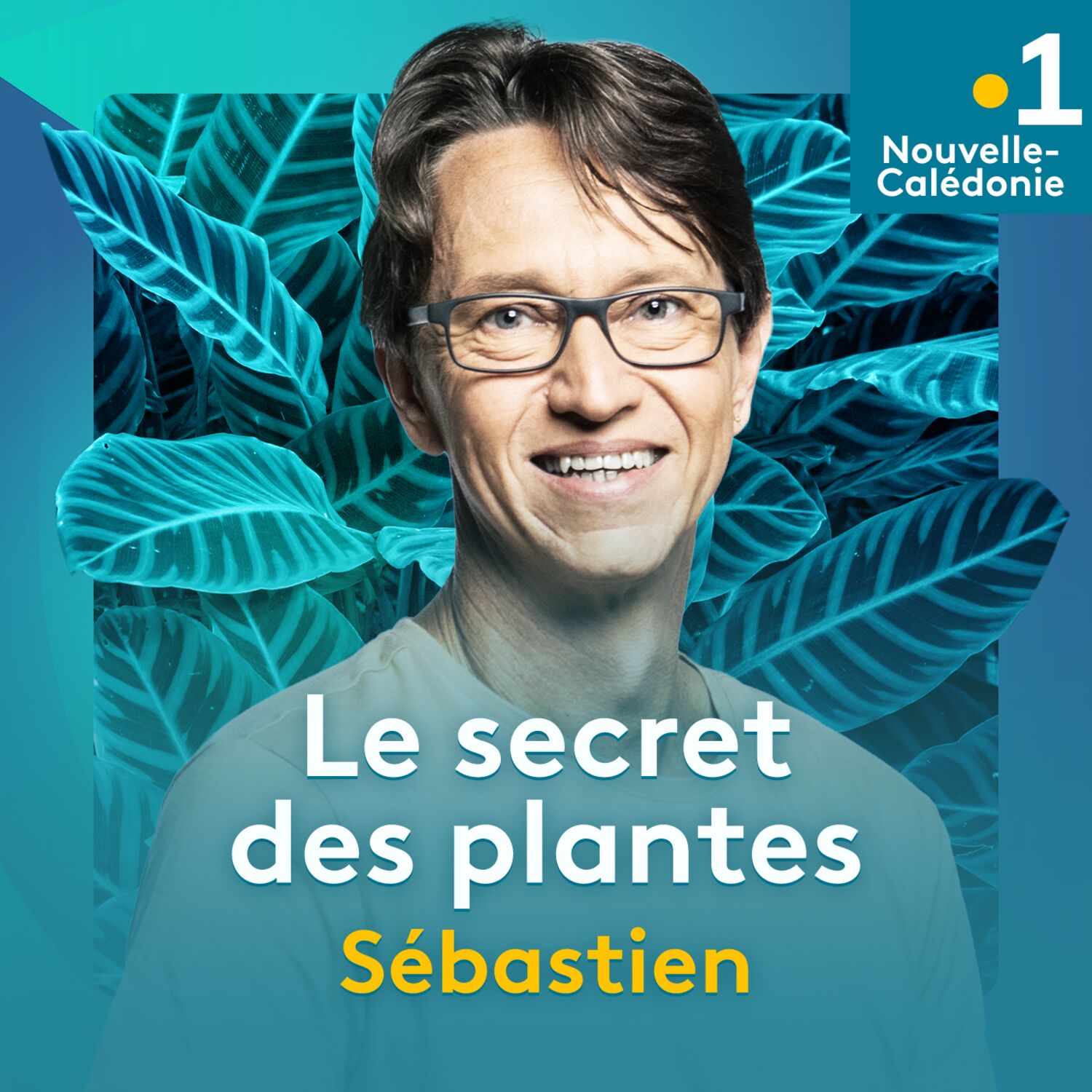 Le secret des plantes