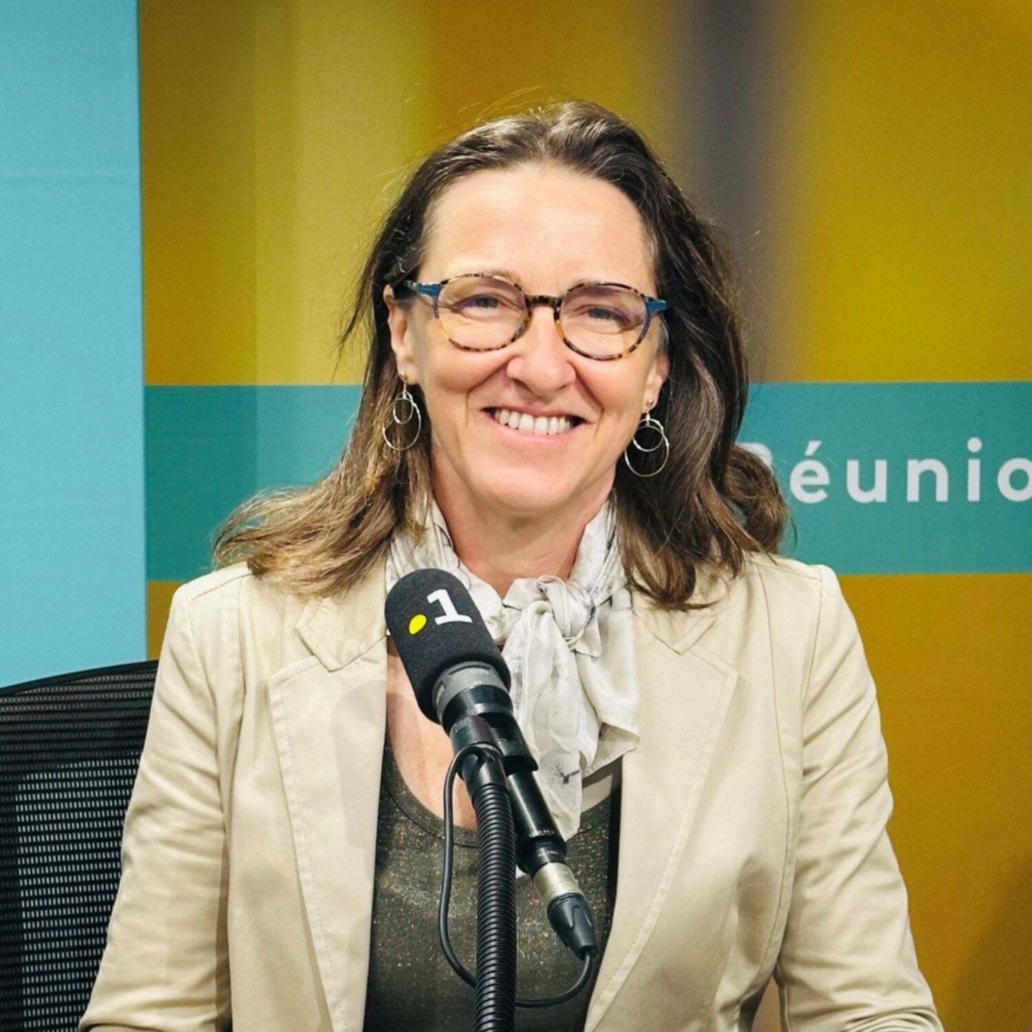 Corinne Dubois, directrice de l'Aract Réunion (qualité de vie au travail) episode artwork