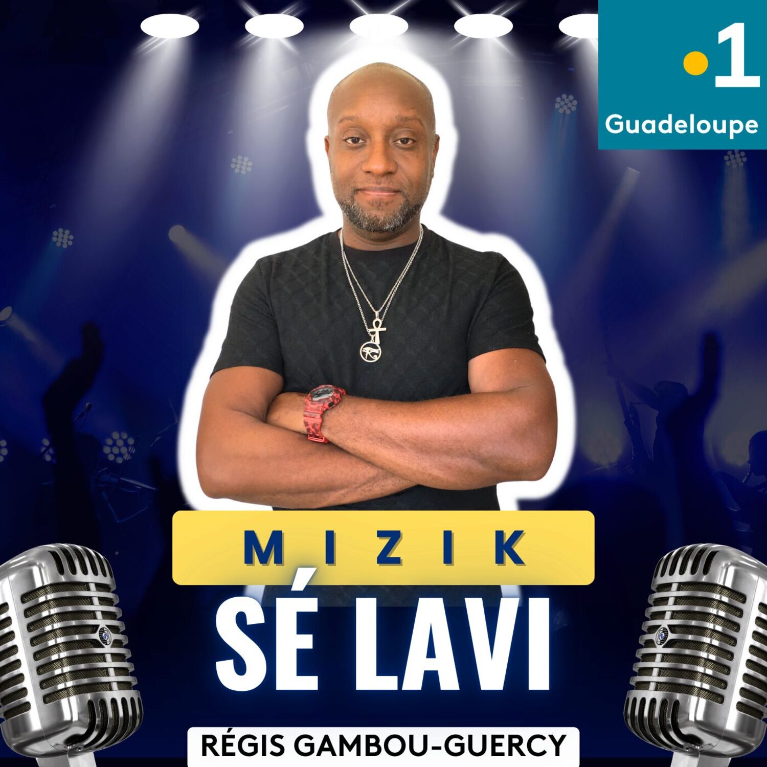 Mizik sé lavi