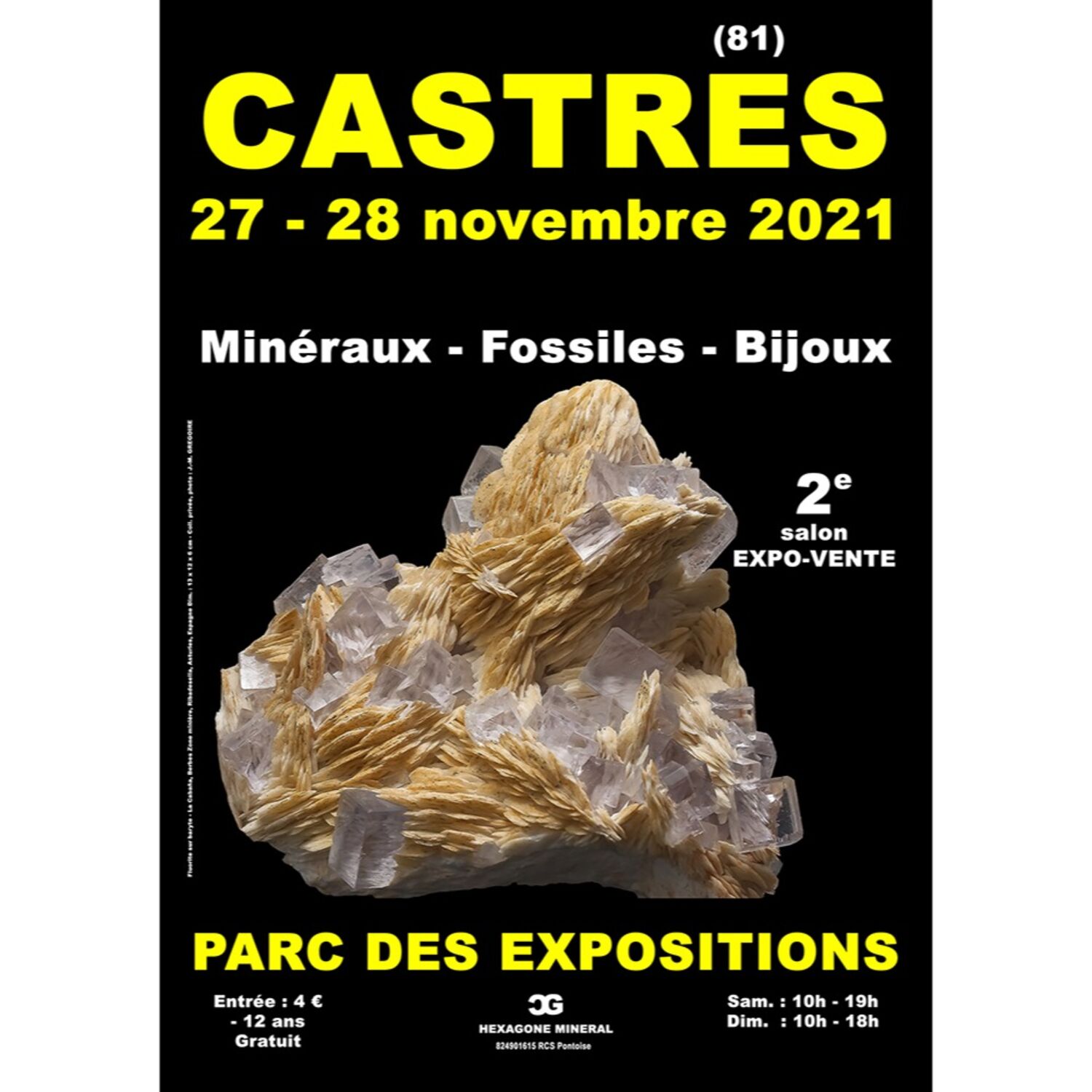 Podcast de l'émission 100% chez vous avec le Salon minéraux, fossiles, bijoux de créateur episode artwork