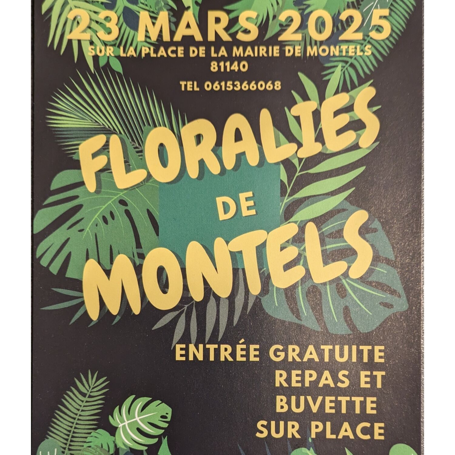 Podcast de l'émission 100% chez vous avec les Floralies  de Montels episode artwork
