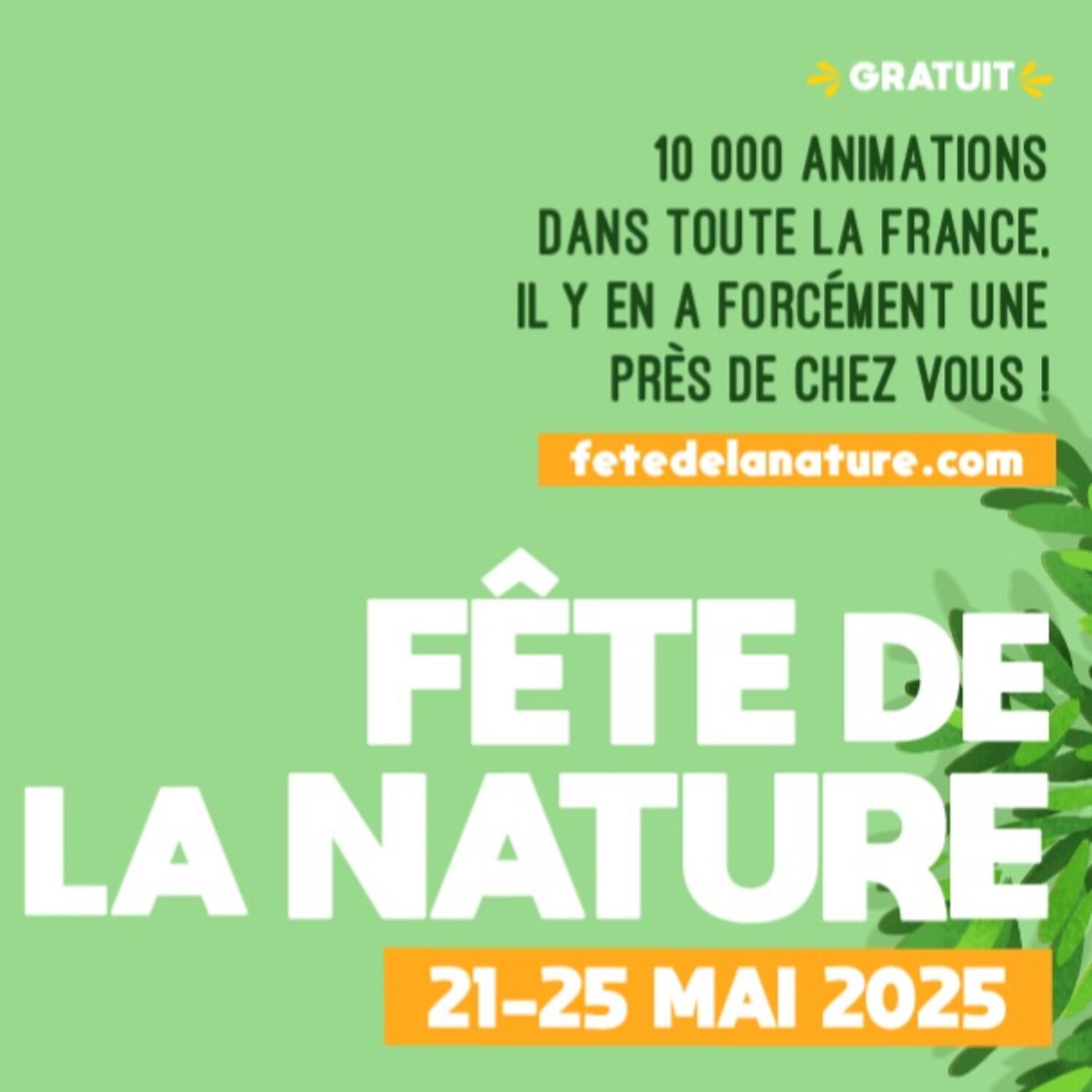 Podcast de l'émission 100% chez vous Fête de la nature episode artwork