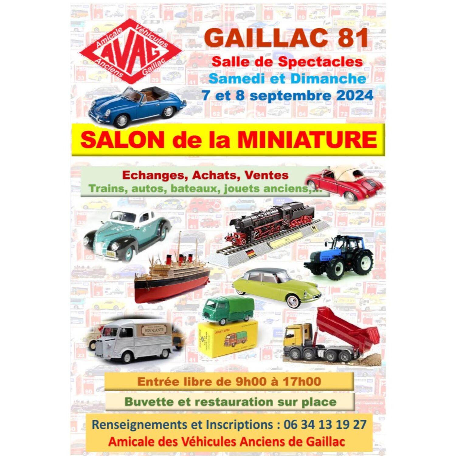 Podcast de l'émission 100% chez vous : le Salon de la Miniature à Gaillac episode artwork