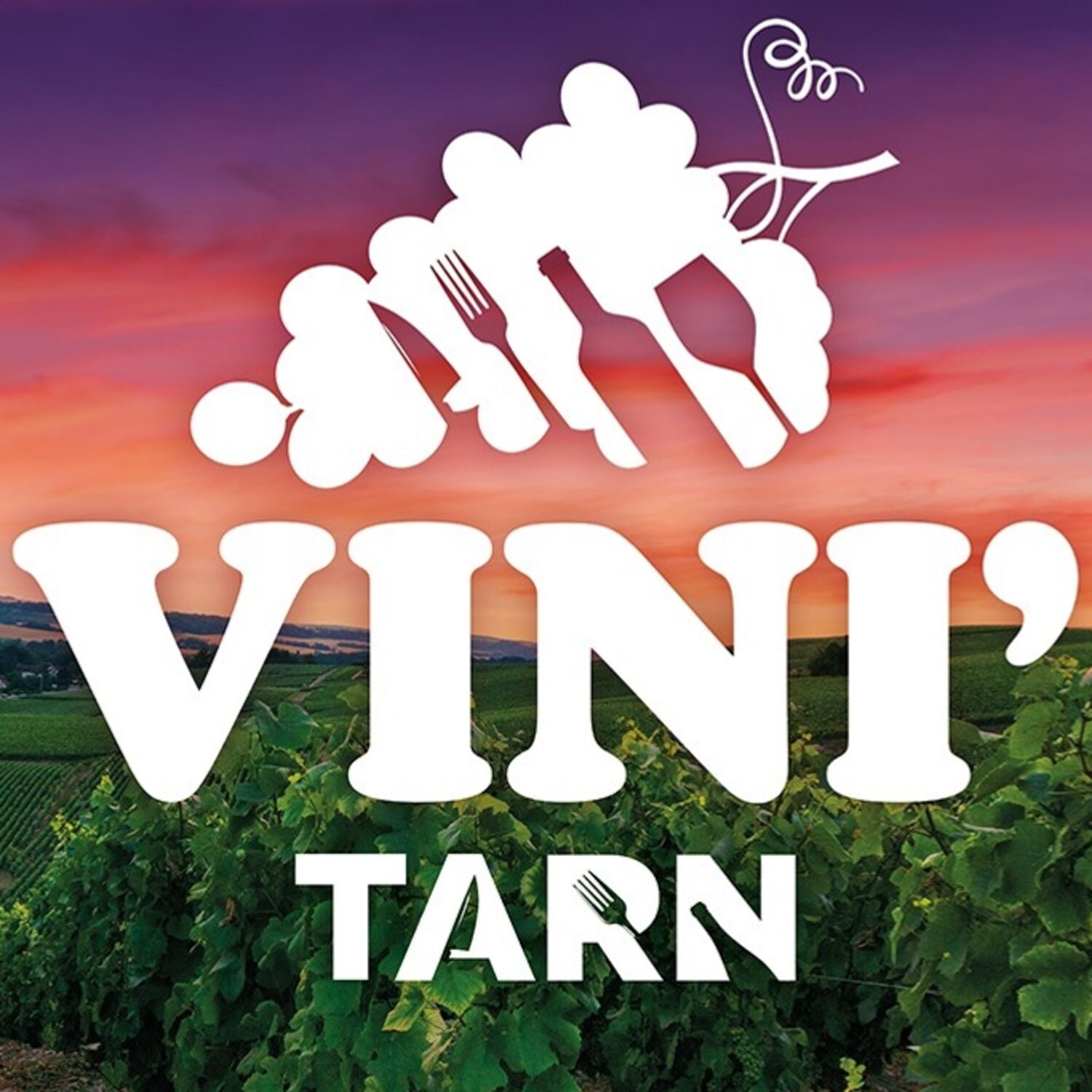 Podcast de l'émission 100% chez vous avec Vini'Tarn episode artwork