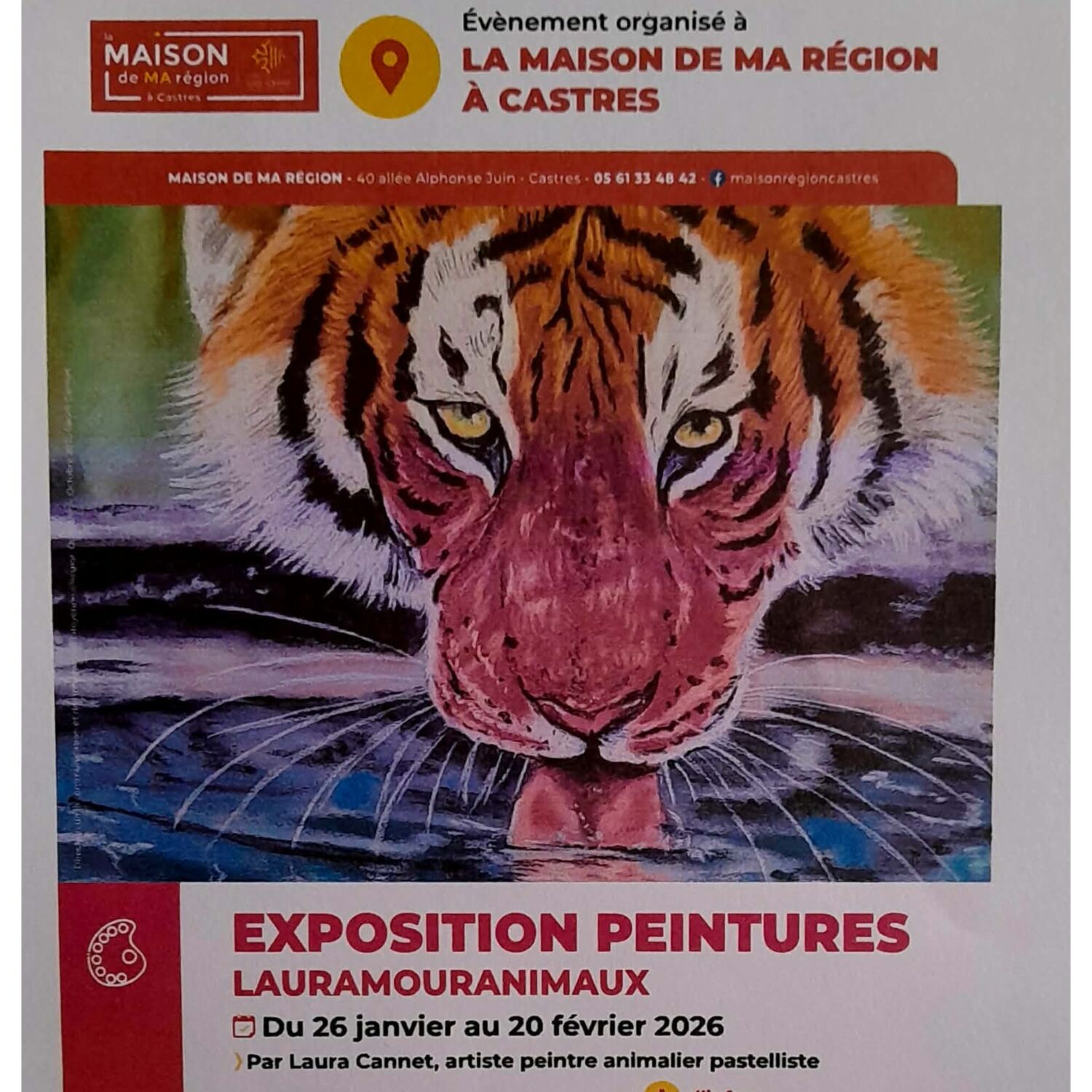 EXPO PEINTURES ANIMAUX à CASTRES- Laura Cannet sur 100% episode artwork