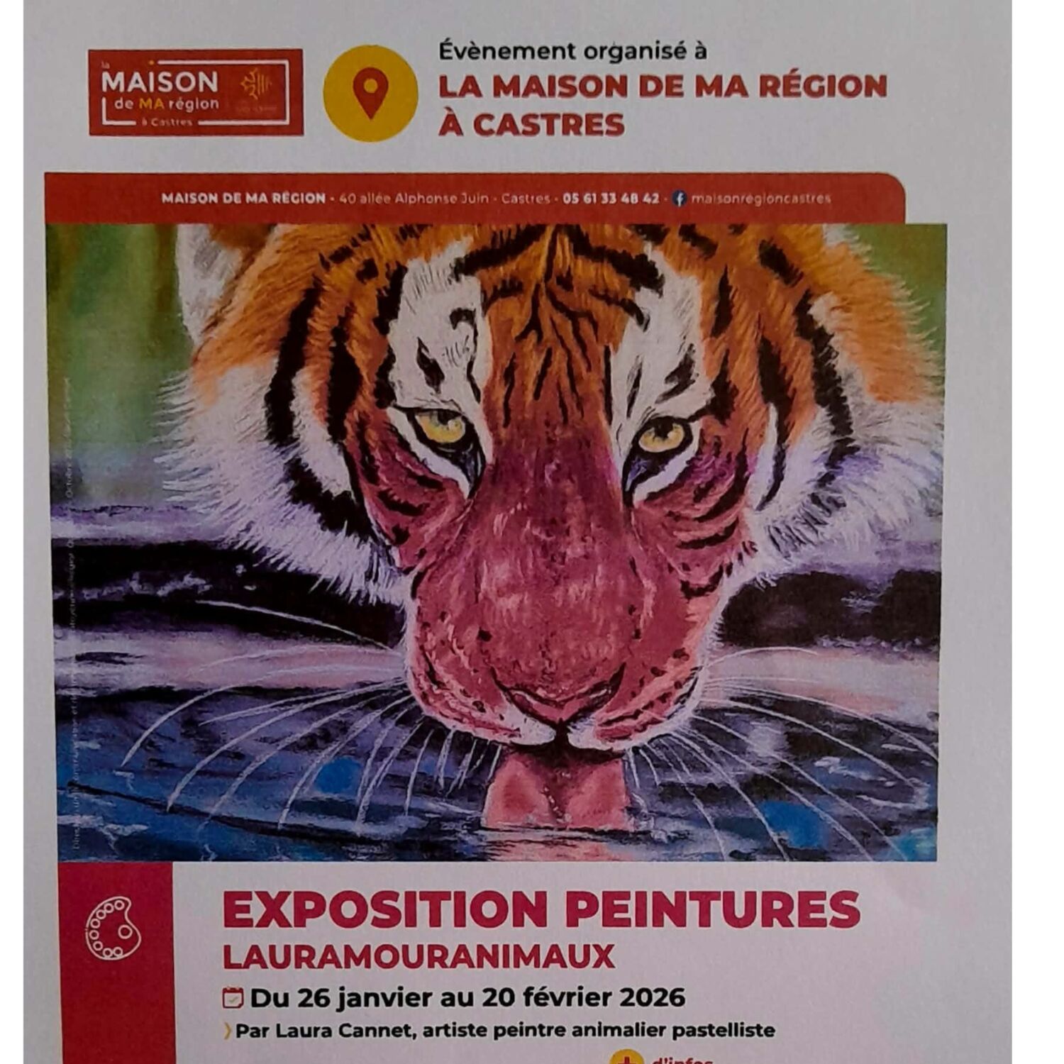 EXPO ANIMAUX à Castres- Laura Cannet sur 100% episode artwork