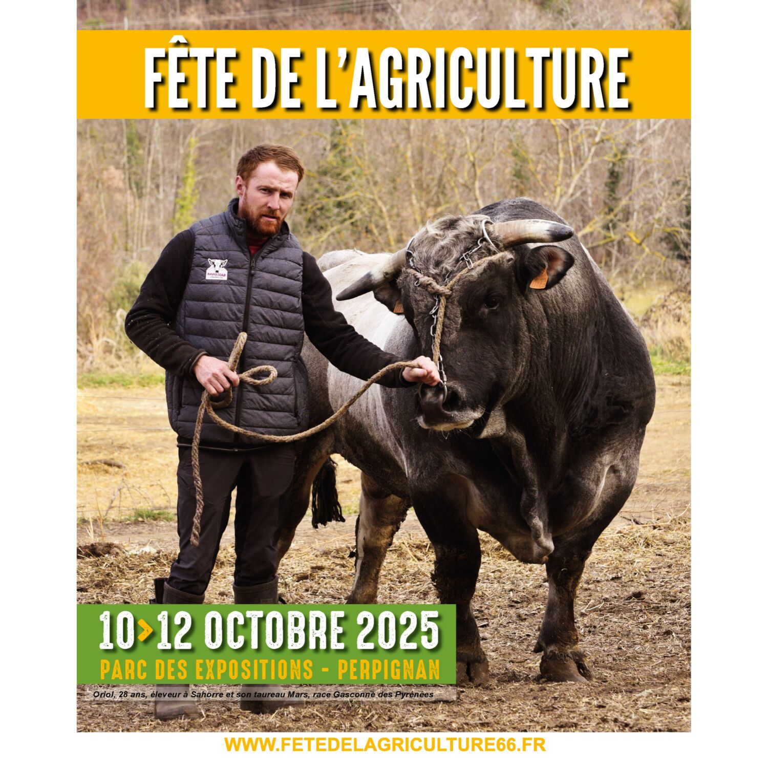 100% chez vous dans les PO : La fête de l'agriculture du 10 au 12 Octobre episode artwork