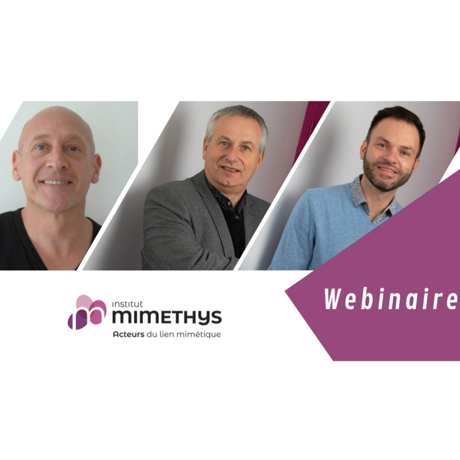 WEBINAIRE : Lien d’attachement et corps en relation en thérapie : l’intérêt de l’hypnose episode artwork