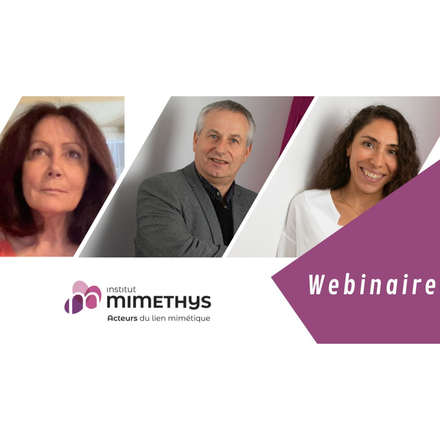 WEBINAIRE : Le concept de résilience et ses aspects actuels. episode artwork