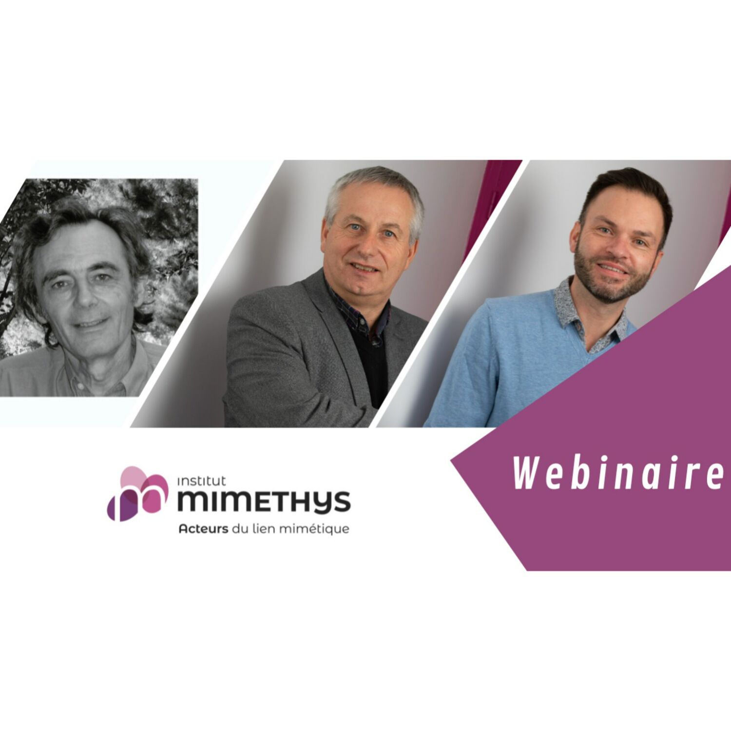 WEBINAIRE : Se décentrer du discours dominant pour qu’émerge une pensée singulière episode artwork