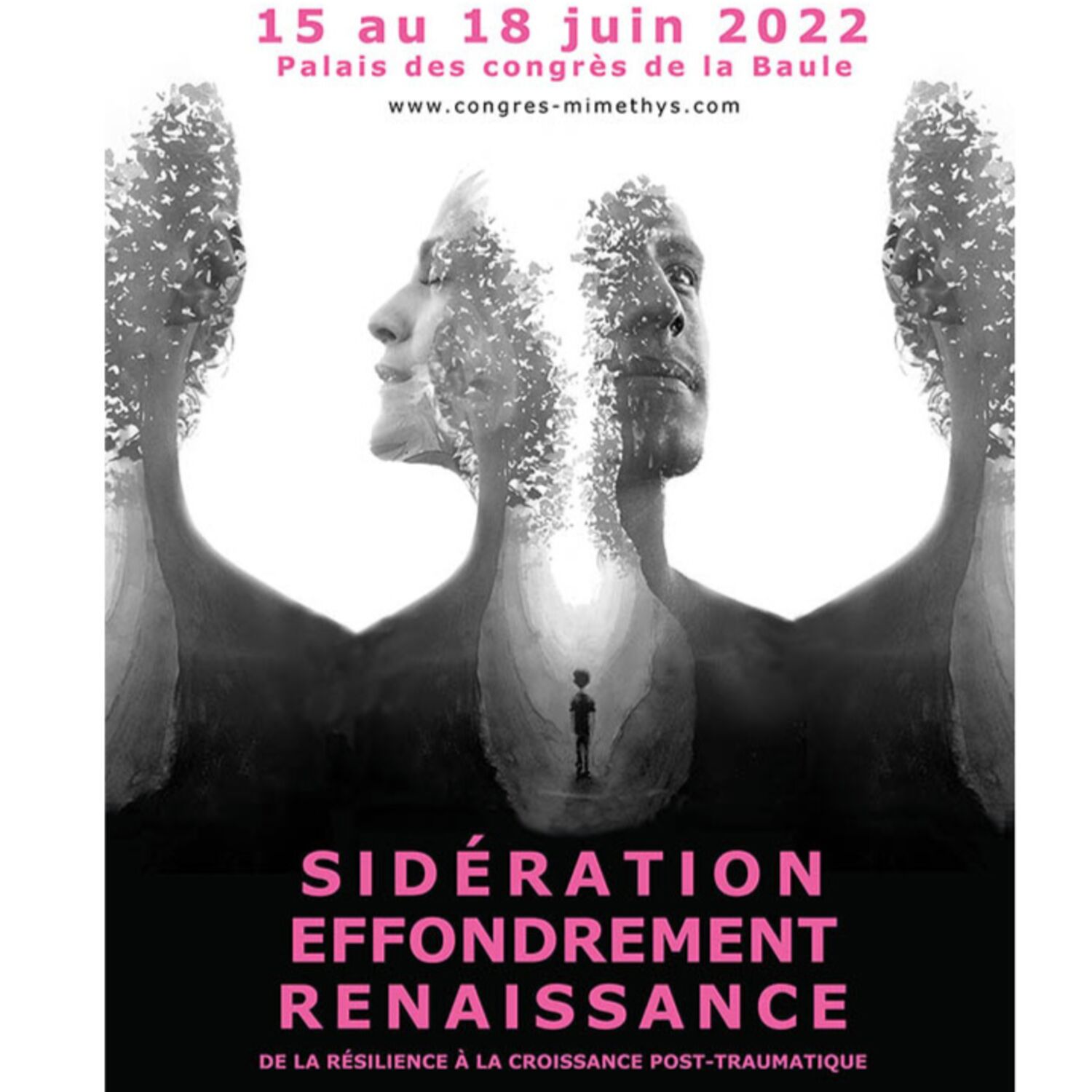 Institut Mimethys Webinaires 2022