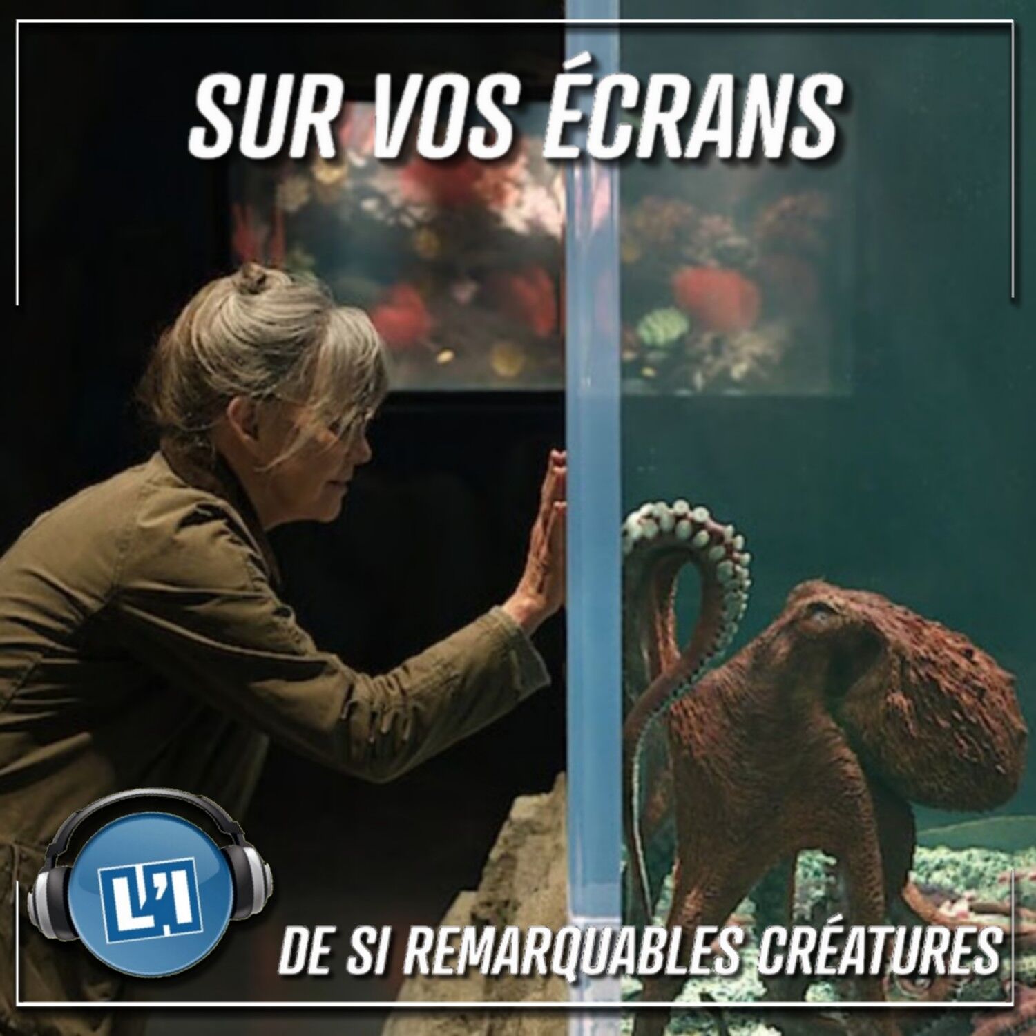 DE SI REMARQUABLES CRÉATURES  -  L'AMITIÉ ENTRE UNE PIEUVRE ET UNE VIEILLE DAME episode artwork