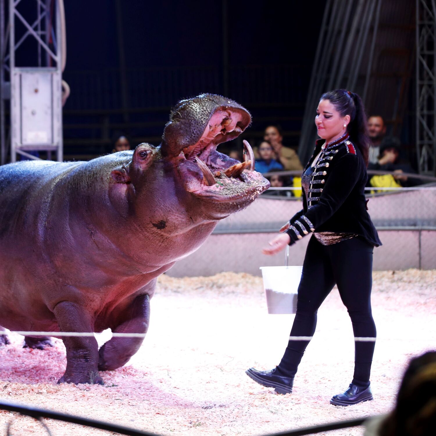 episode sybel img